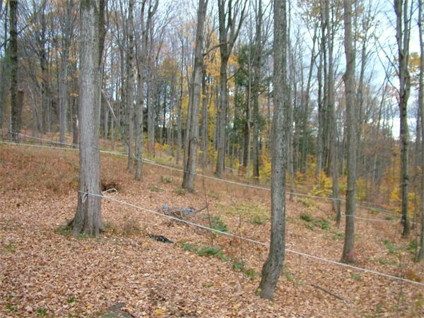 17 Coombs Hill Road Colrain, MA 01340 - Photo 22 of 30