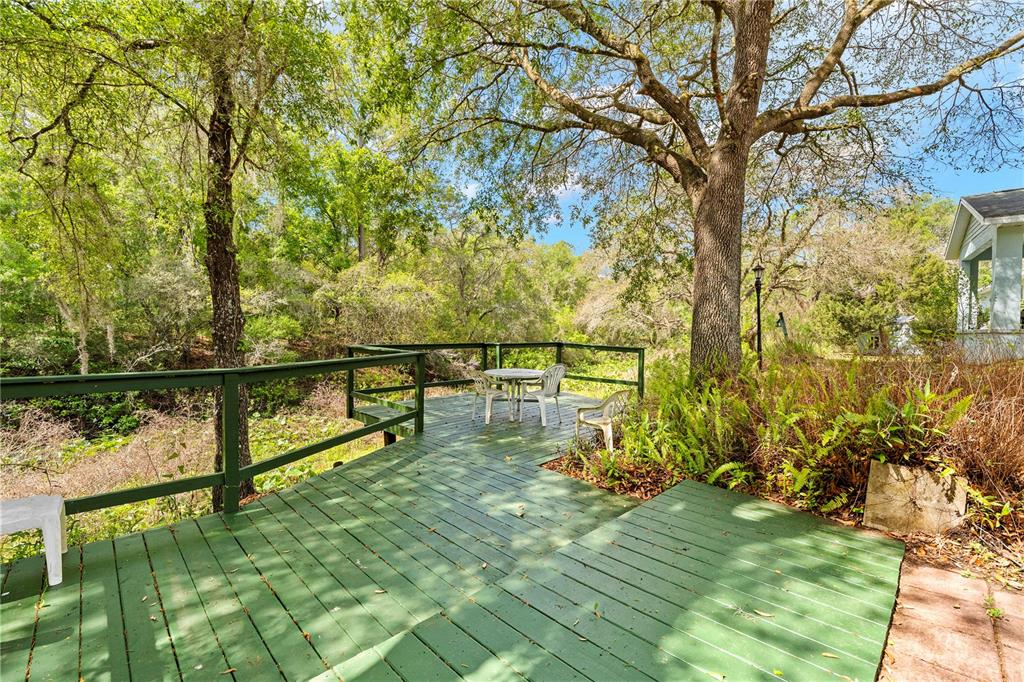 7347 Packingham Drive Webster, FL 33597 - Photo 61 of 75 a view of swimming pool with a lake view