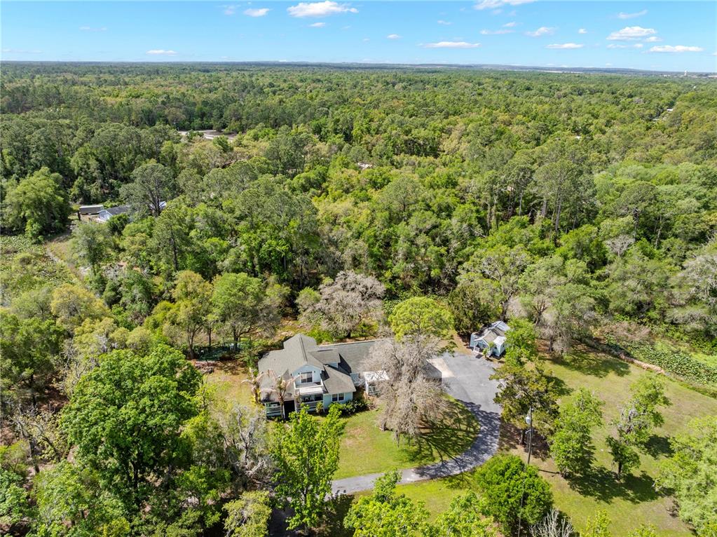 7347 Packingham Drive Webster, FL 33597 - Photo 67 of 75