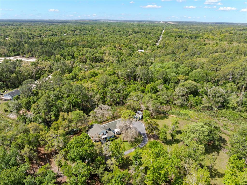 7347 Packingham Drive Webster, FL 33597 - Photo 68 of 75