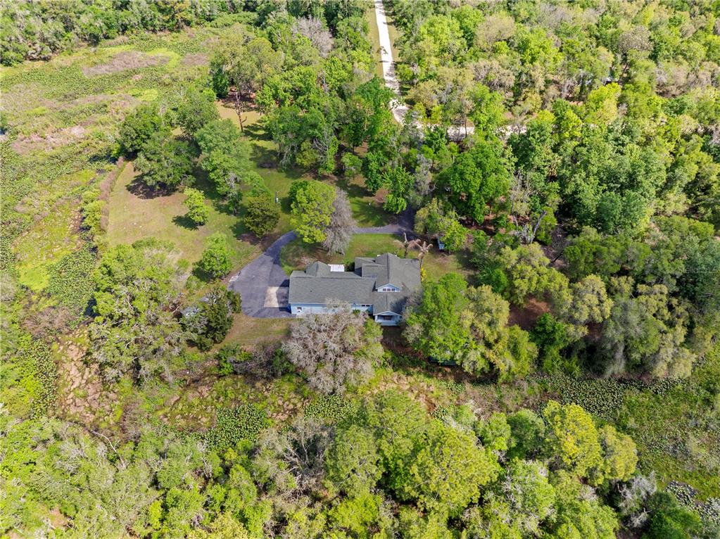 7347 Packingham Drive Webster, FL 33597 - Photo 74 of 75 a view of a garden