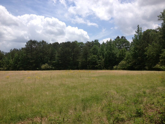 X Butler Road Smithdale, MS 39664 - Photo 1 of 1 Main View