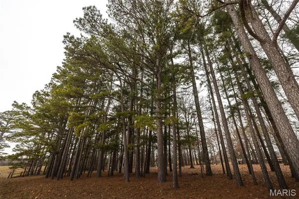 $750,000 | 19546 Golden Drive, Raymondville, MO 65555