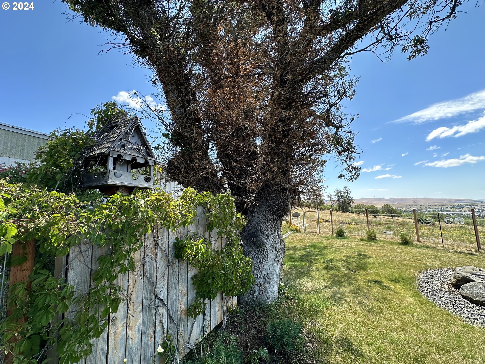 110 Eagle Drive Goldendale, WA 98620 - Photo 41 of 48 a backyard of a house with lots of green space
