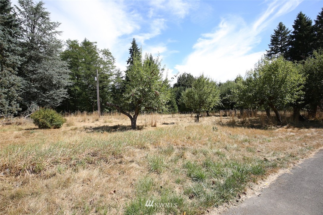505 Telegraph Road Winlock, WA 98596 - Photo 4 of 4