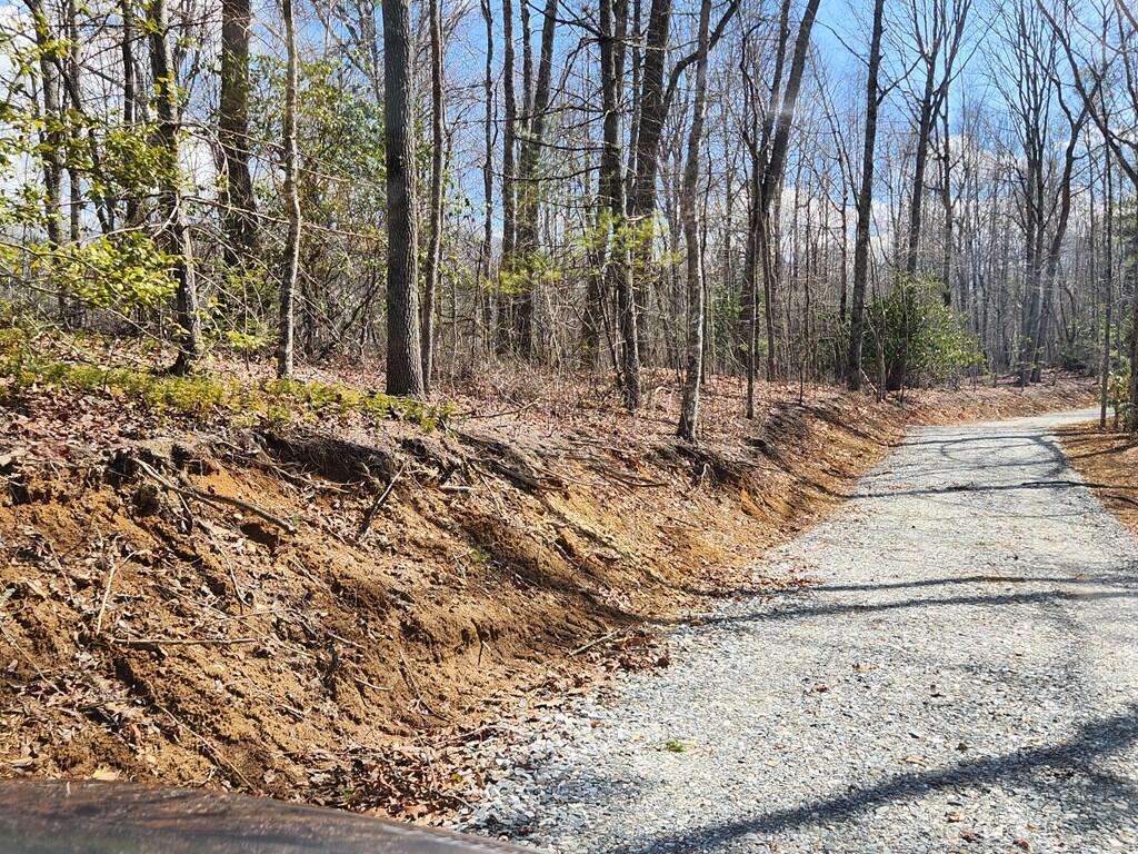0 Camp Branch Road Topton, NC 28781 - Photo 18 of 41 Gallery Image 18