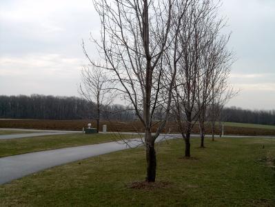 2035 Adams Road Fogelsville, PA 18051 - Photo 3 of 3 Gallery Image 3