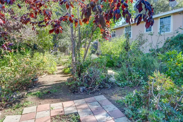 a backyard of a house with lots of green space