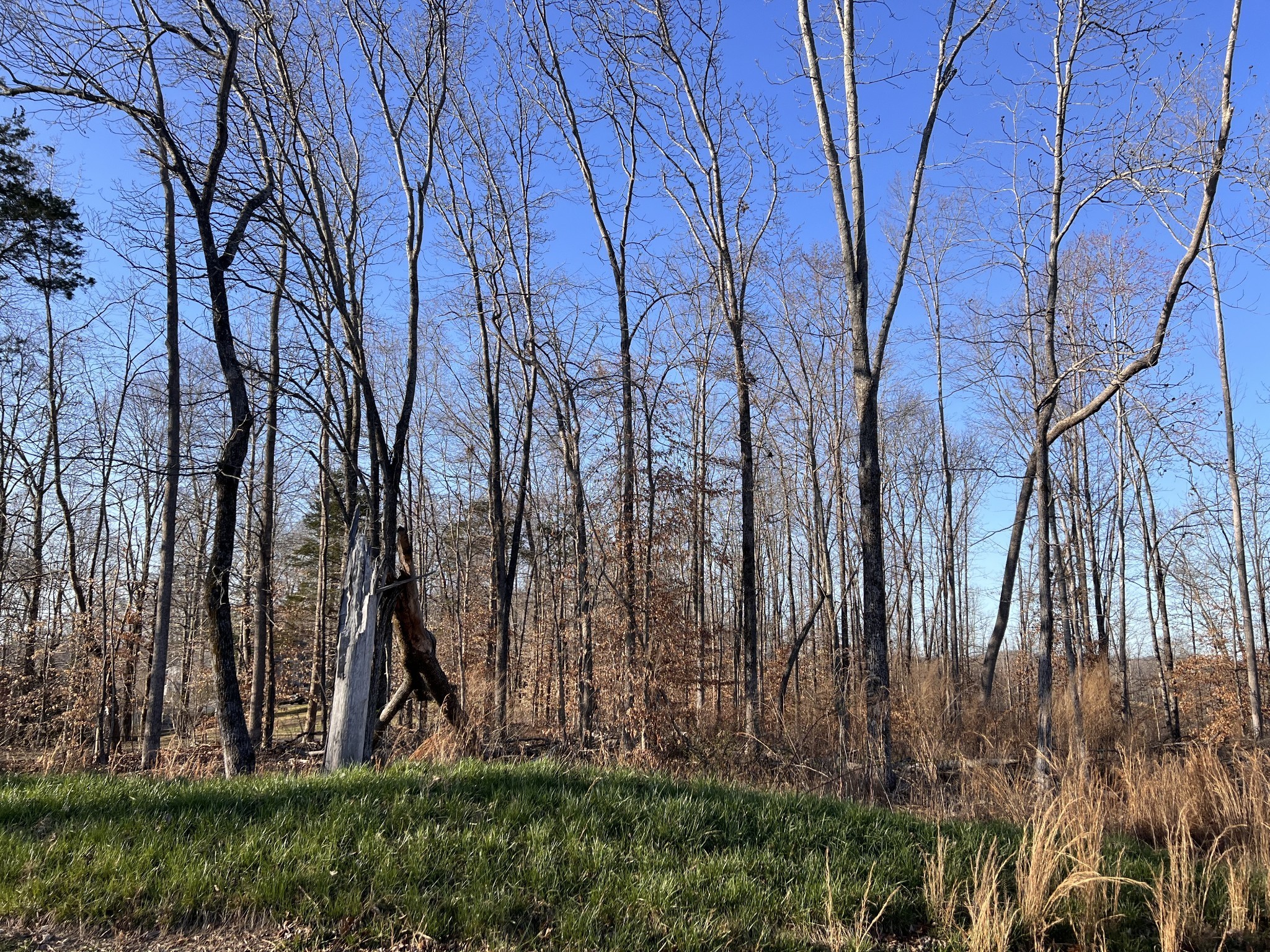 1 Water Ridge Drive Sparta, TN 38583 - Photo 2 of 11 a view of backyard