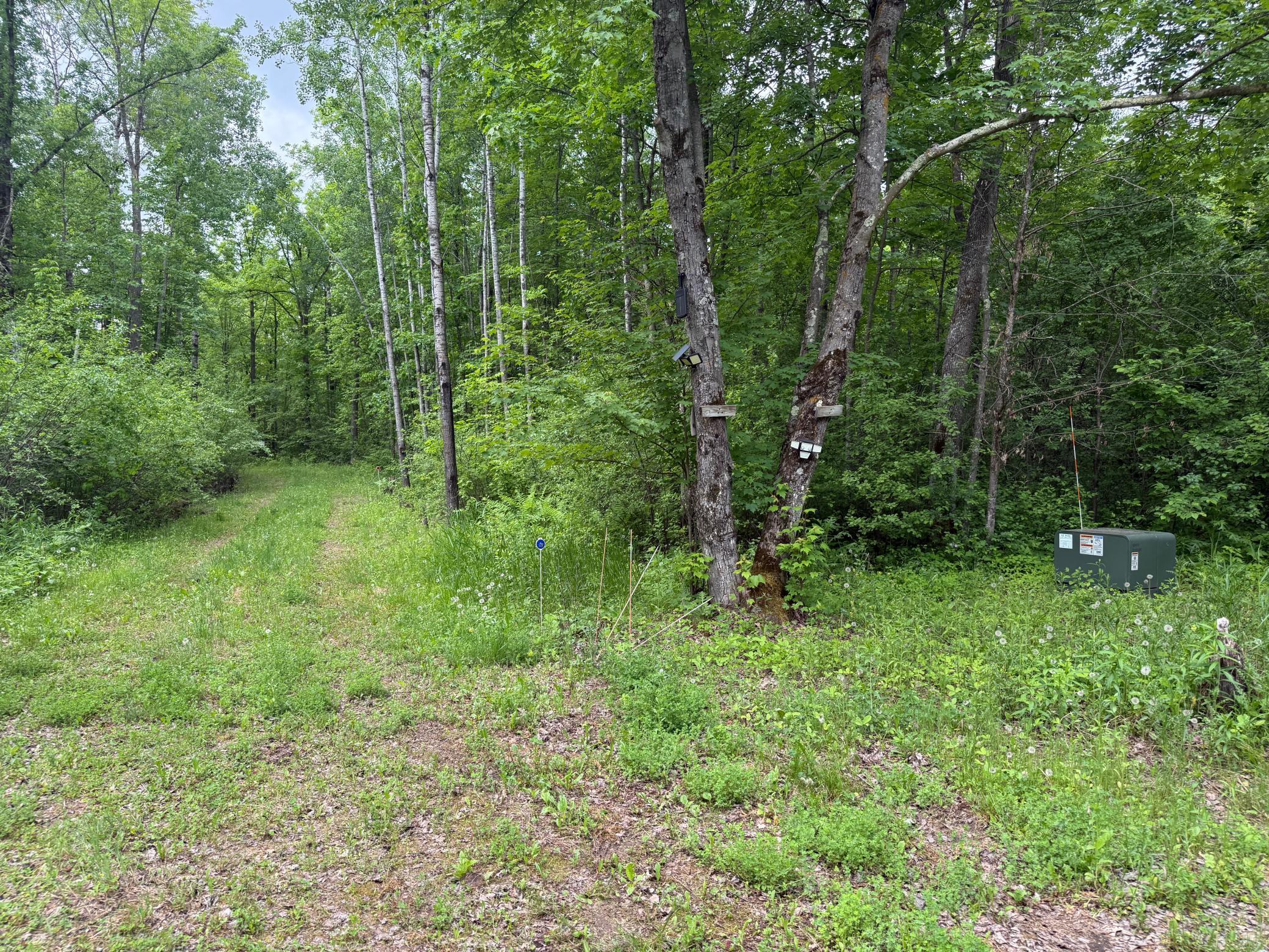 10551 Mallard Road Brook Park, MN 55007 - Photo 34 of 44