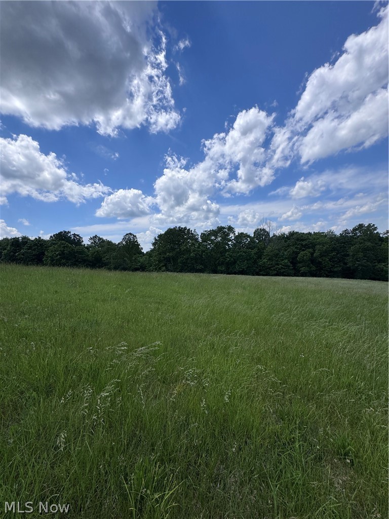 Johnson Ridge Road, Unit 4 6 Stockport, OH 43787 - Photo 11 of 16