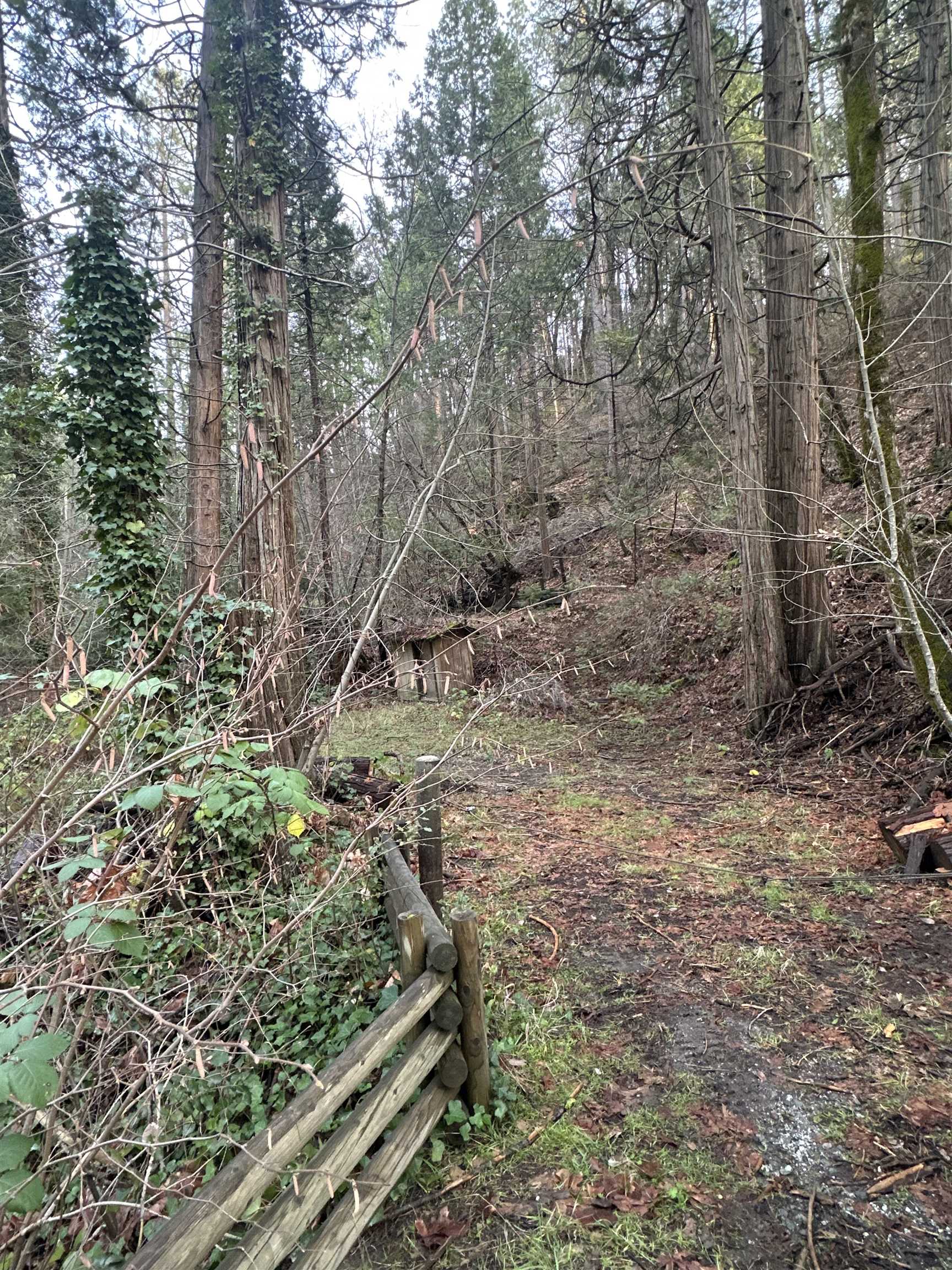 22895 South Fork Road Twain Harte, CA 95370 - Photo 2 of 8 a view of a yard with large trees