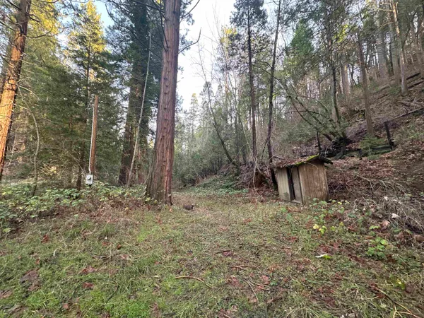 a view of outdoor space and tree