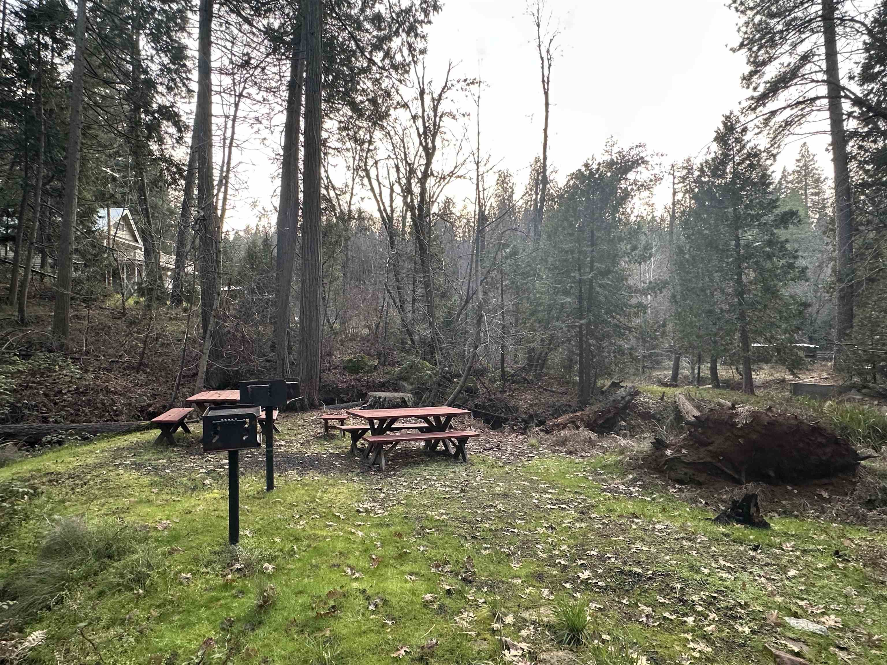 22895 South Fork Road Twain Harte, CA 95370 - Photo 5 of 8 a view of a bench in a garden