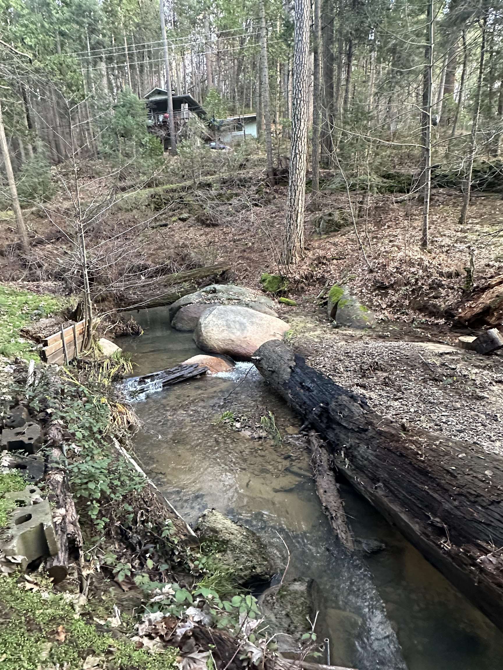 22895 South Fork Road Twain Harte, CA 95370 - Photo 6 of 8 a view of a backyard of the house