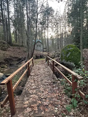 a view of a yard with trees