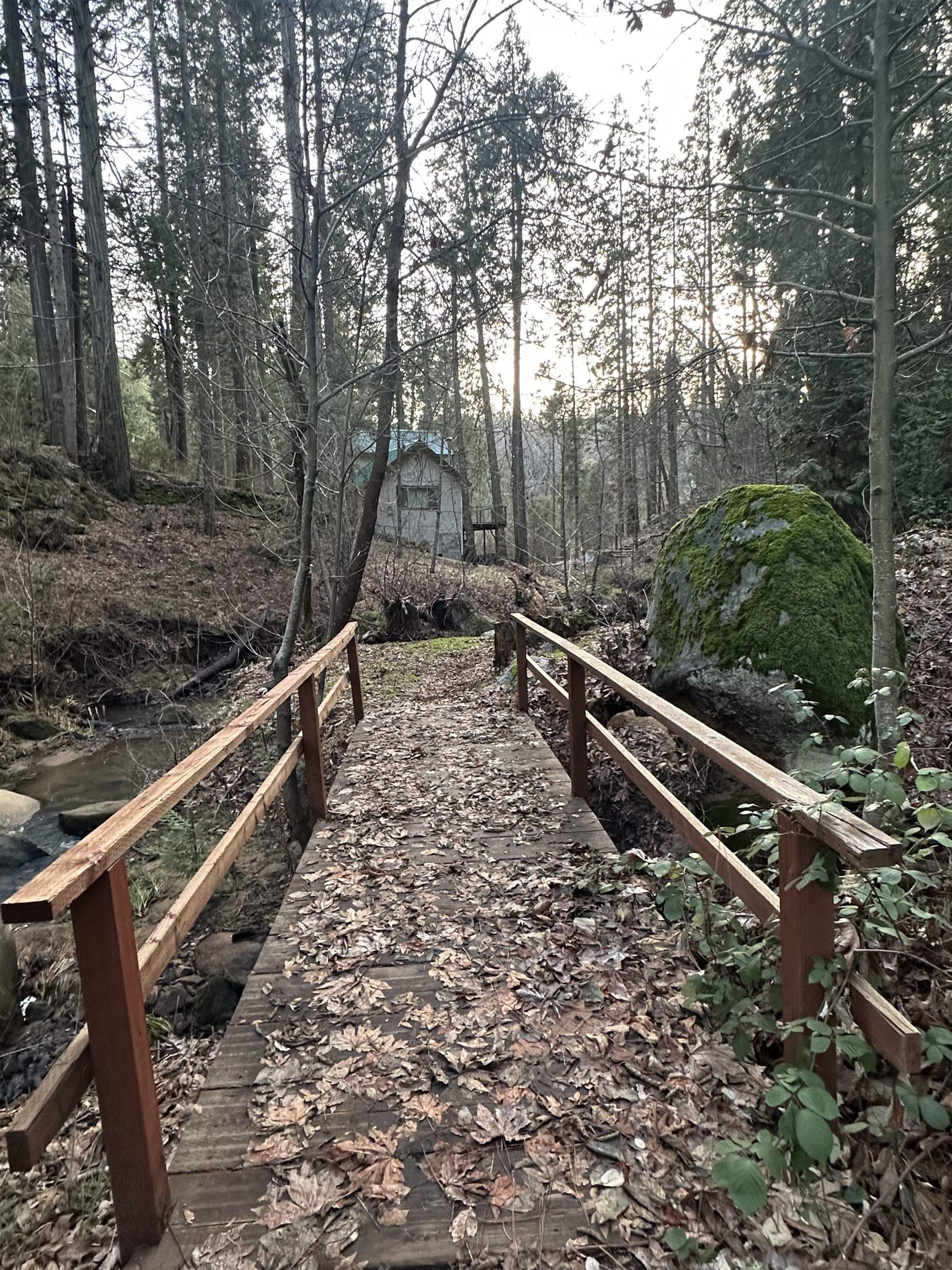 22895 South Fork Road Twain Harte, CA 95370 - Photo 8 of 8 a view of a yard with trees