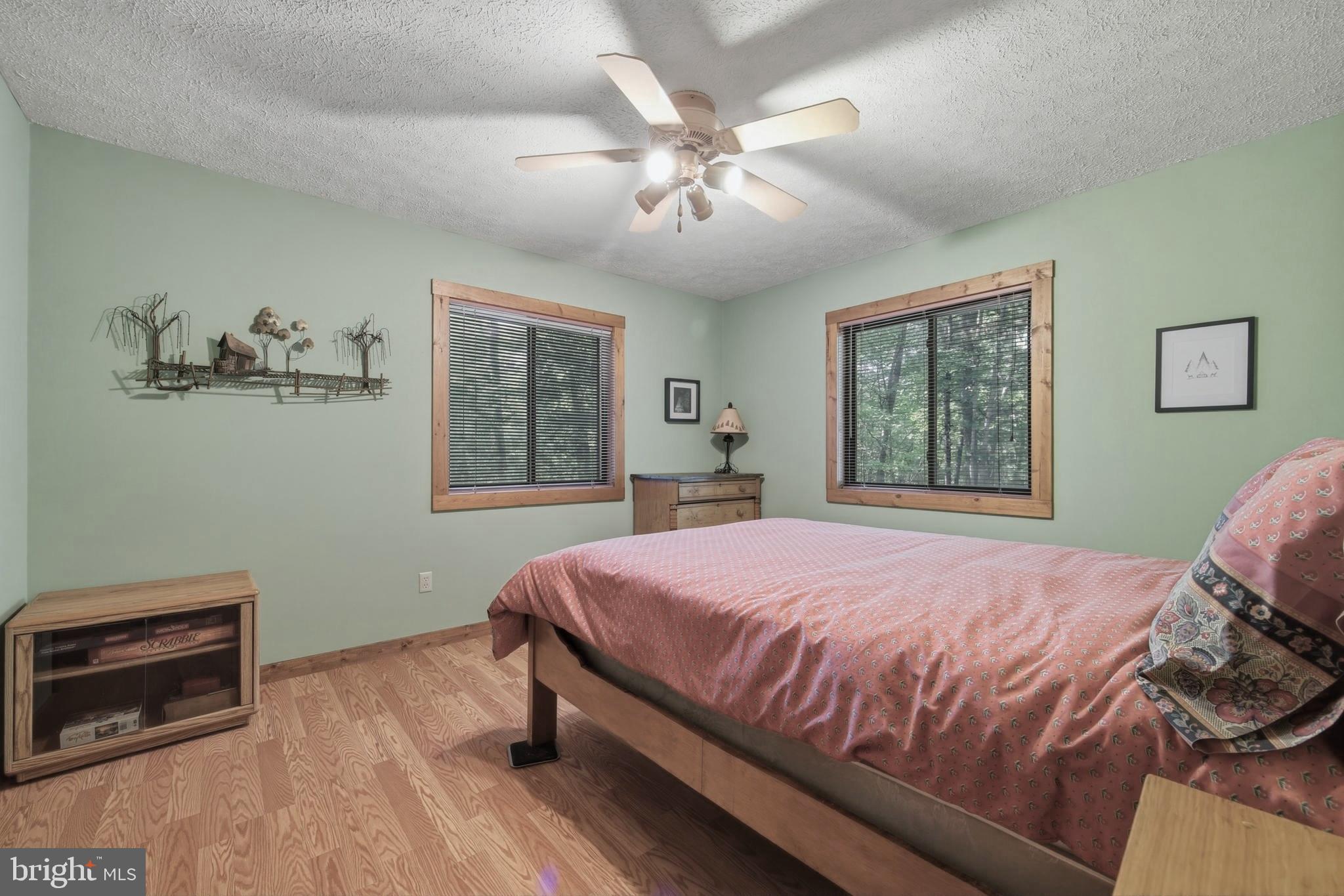 309 Locust Lane Mount Jackson, VA 22842 - Photo 37 of 57 Main Level Bedroom