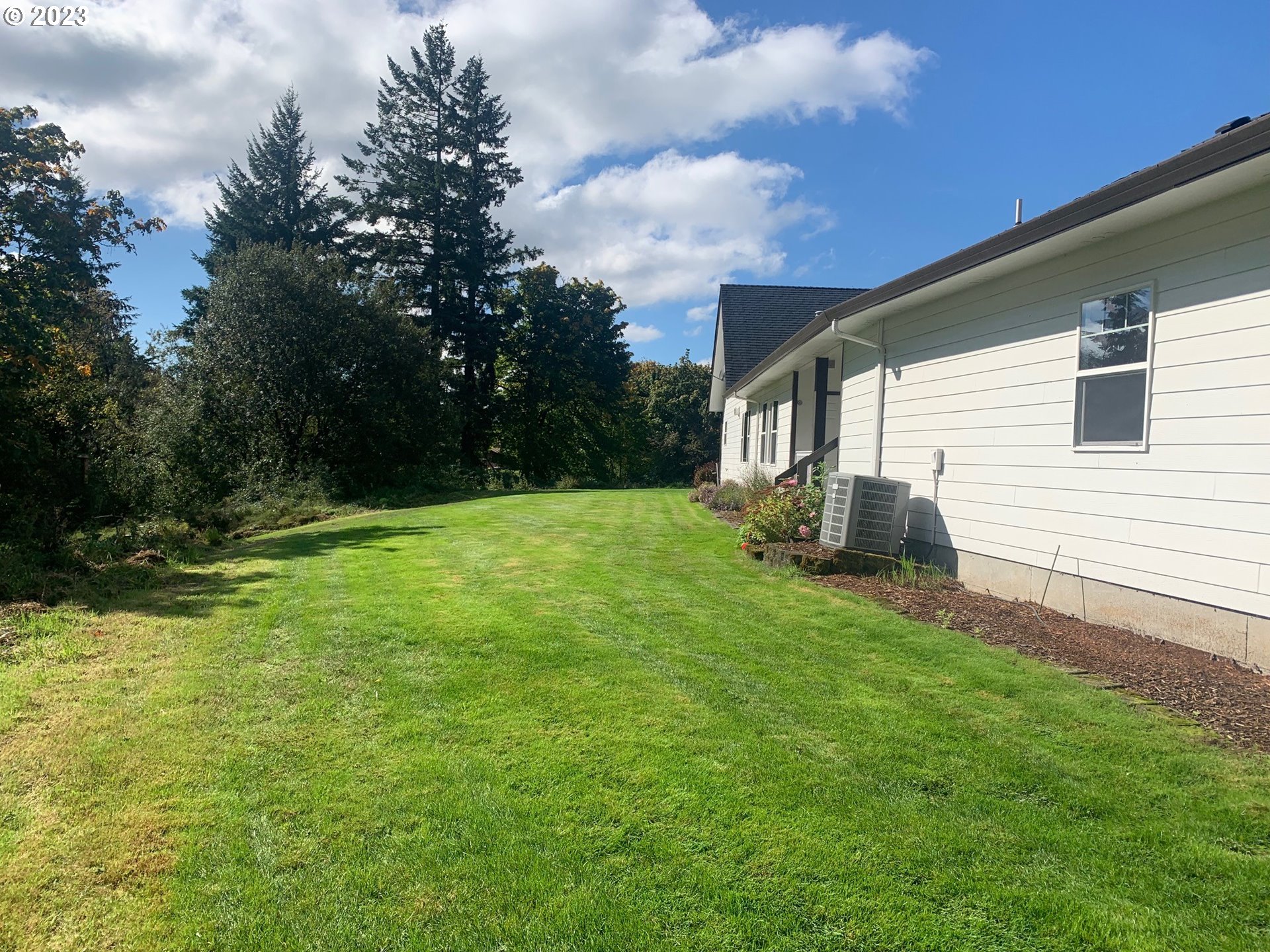 1101 Northeast 264th Street Ridgefield, WA 98642 - Photo 42 of 48 a backyard of a house with plants and large trees