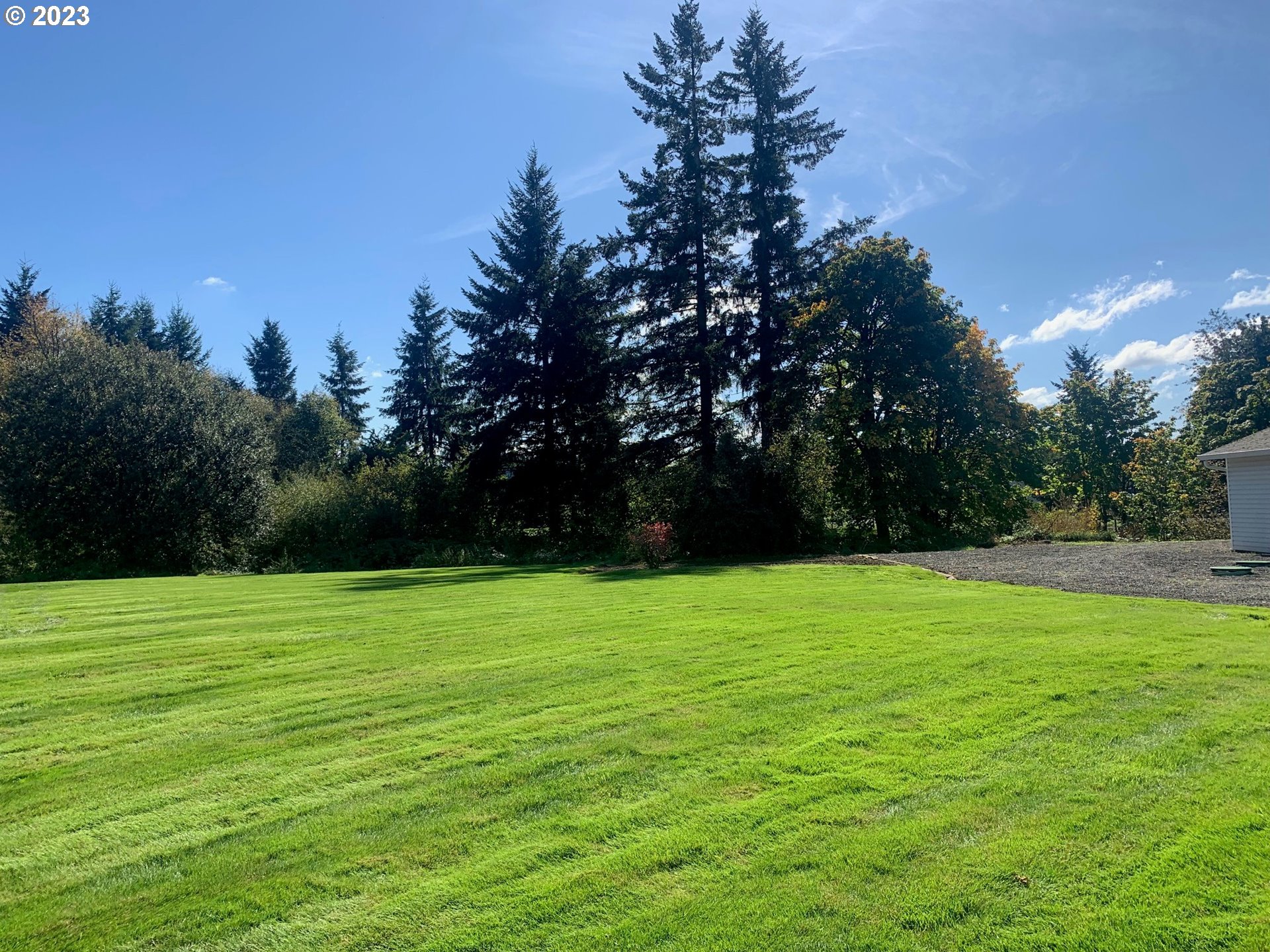1101 Northeast 264th Street Ridgefield, WA 98642 - Photo 43 of 48 a view of a field with trees in the background