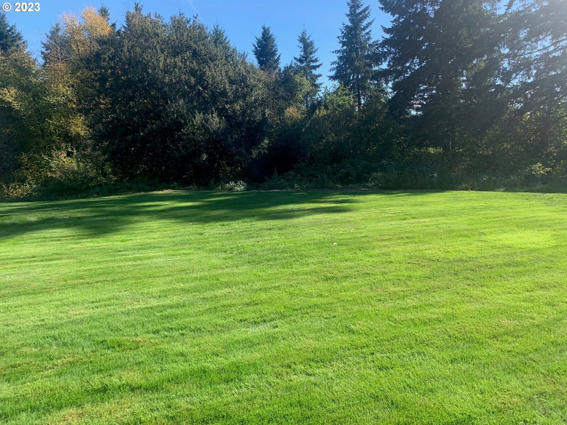 1101 Northeast 264th Street Ridgefield, WA 98642 - Photo 44 of 48 a view of a field of grass and trees