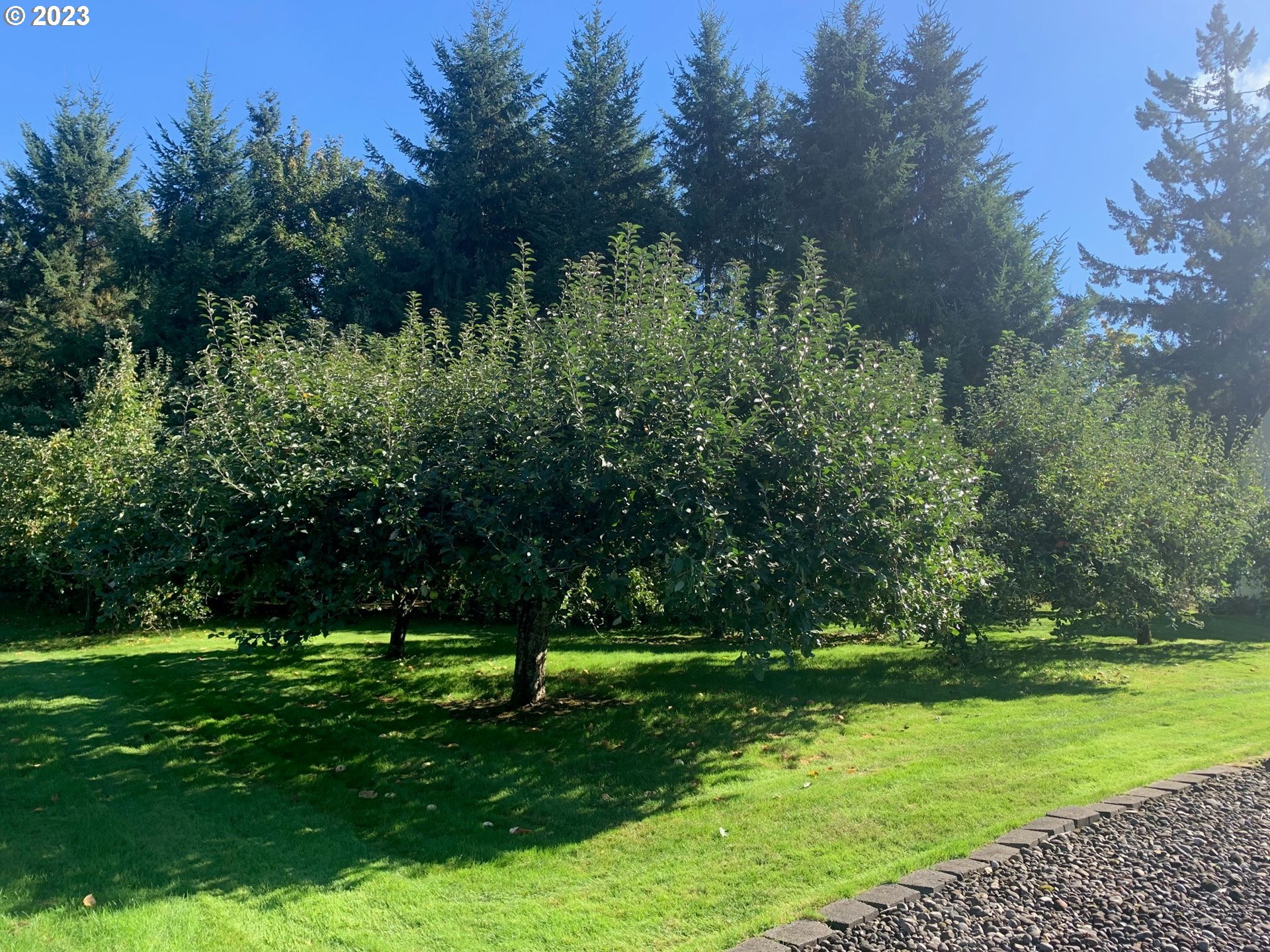 1101 Northeast 264th Street Ridgefield, WA 98642 - Photo 45 of 48 a view of a park