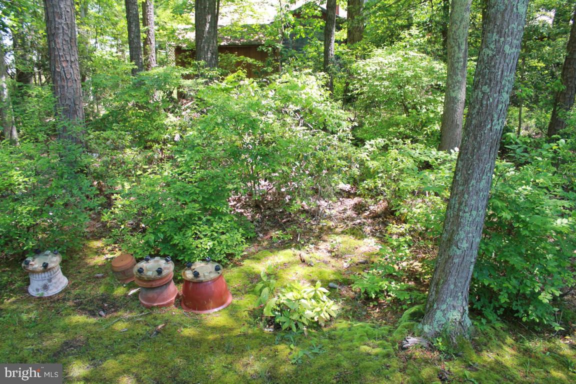 49 Moonraker Road Ocean Pines, MD 21811 - Photo 25 of 27 a view of a backyard of the house