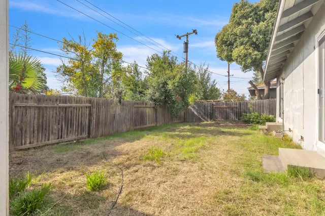a view of backyard with tree