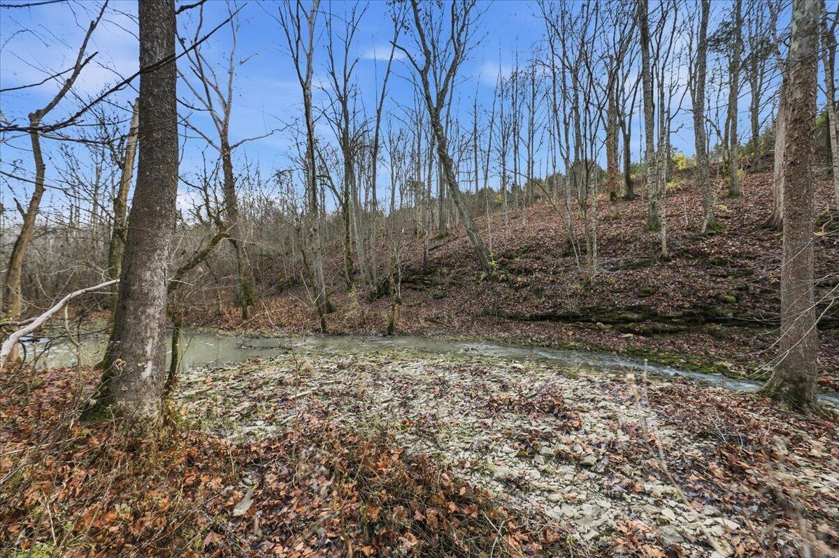 5275 Harmony Road Owenton, KY 40359 - Photo 11 of 19 Gallery Image 11