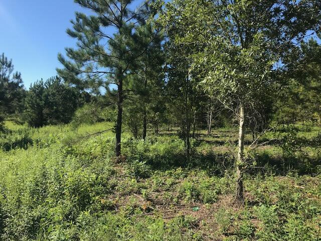 3 Athens Road Calhoun, TN 37309 - Photo 5 of 10 Chestuee 3