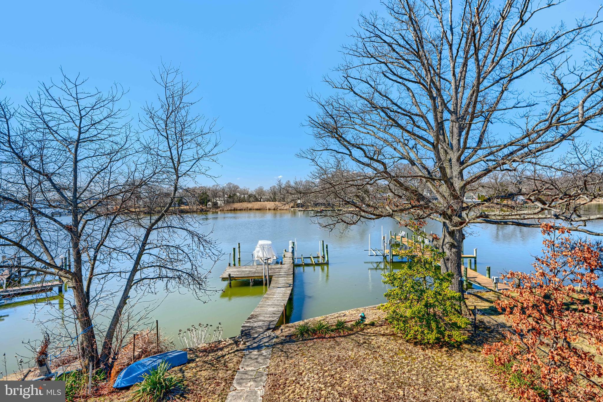 1510 Denton Road Essex, MD 21221 - Photo 28 of 39 a view of a yard with a tree