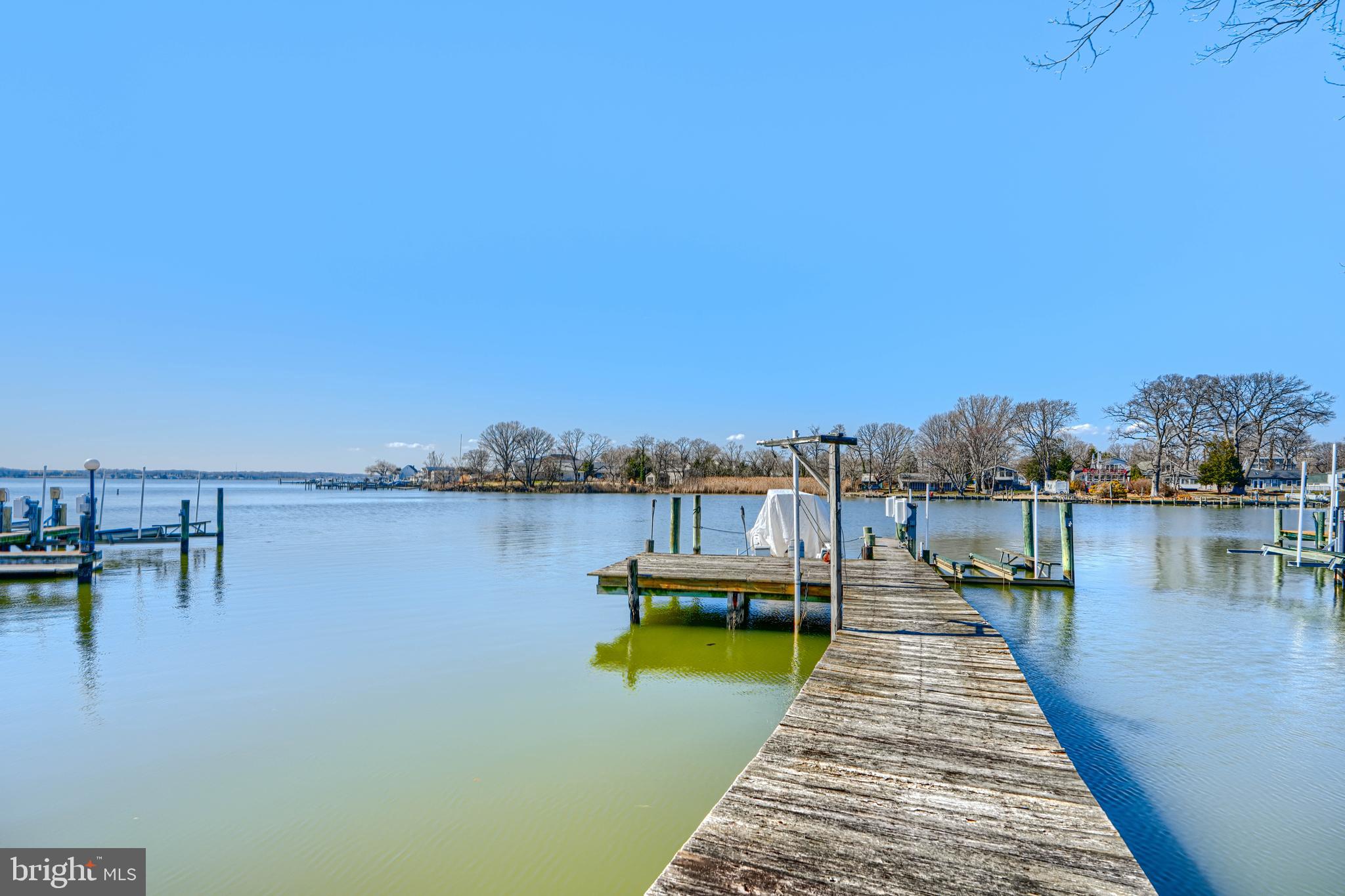 1510 Denton Road Essex, MD 21221 - Photo 30 of 39 a view of a lake with boats and trees in the background