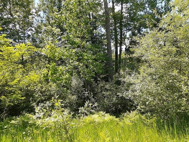0 East Side Drive Lupton, MI 48635 - Photo 1 of 5