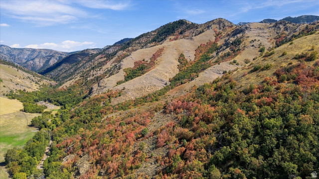 3000 Canyon Road Smithfield, UT 84335 - Photo 3 of 10 Natural mountain landscape featuring diverse vegetation, autumn foliage, and expansive open terrain