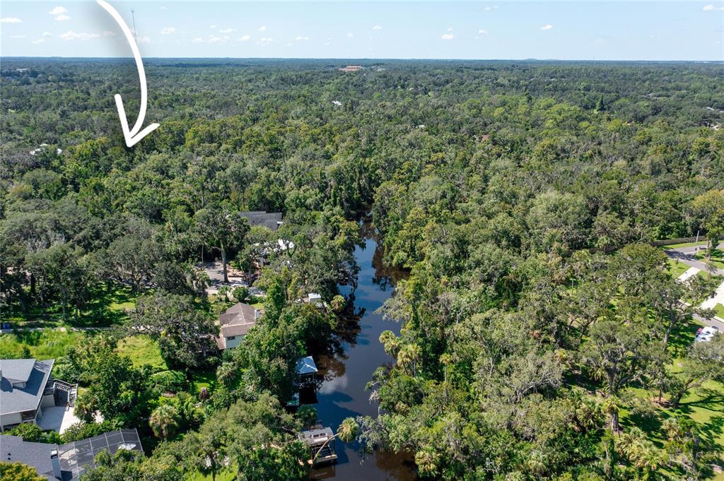 4710 Rambling River Road Brandon, FL 33511 - Photo 13 of 15 a view of a garden