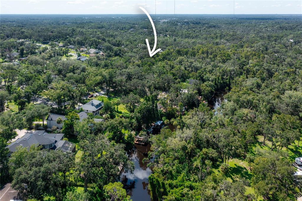 4710 Rambling River Road Brandon, FL 33511 - Photo 14 of 15 an aerial view of residential house with outdoor space