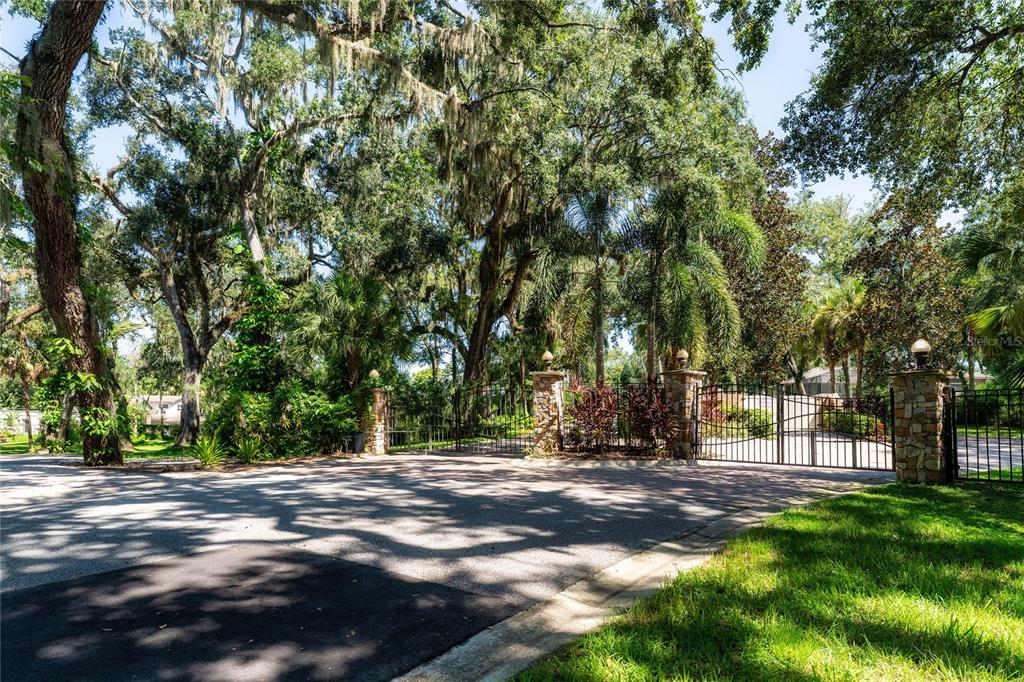 4710 Rambling River Road Brandon, FL 33511 - Photo 6 of 15 a view of outdoor space with trees