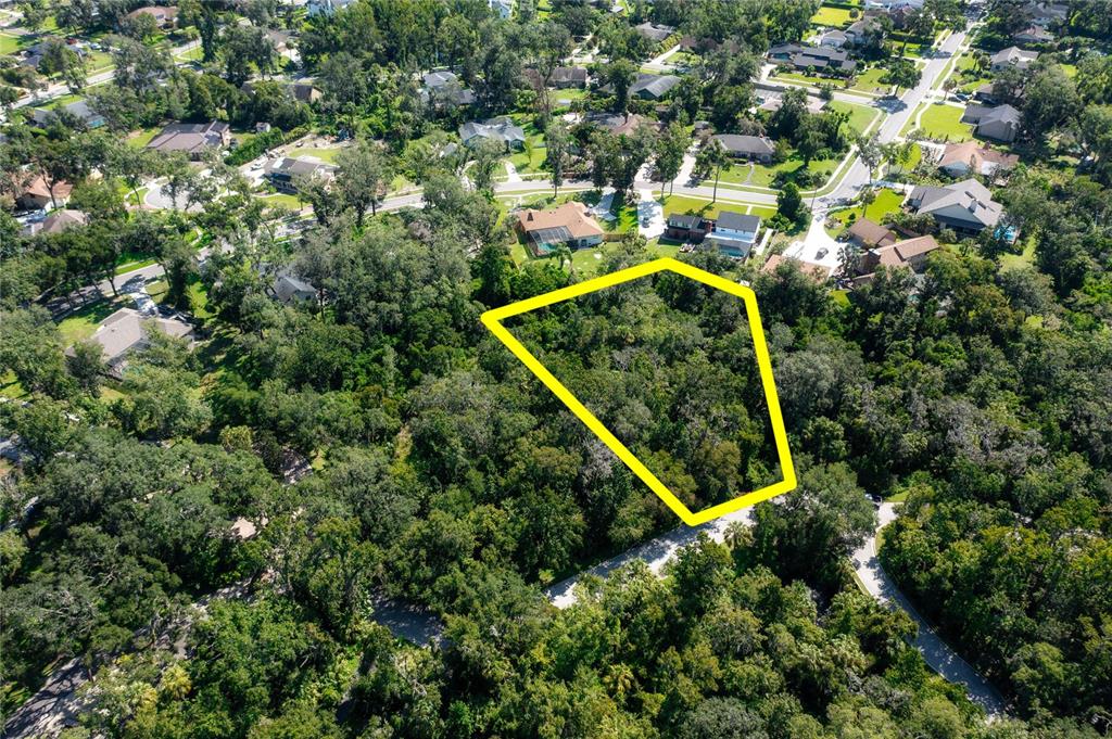 4710 Rambling River Road Brandon, FL 33511 - Photo 8 of 15 an aerial view of residential house with outdoor space and trees