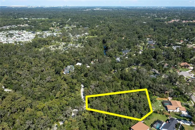 a green field with lots of trees