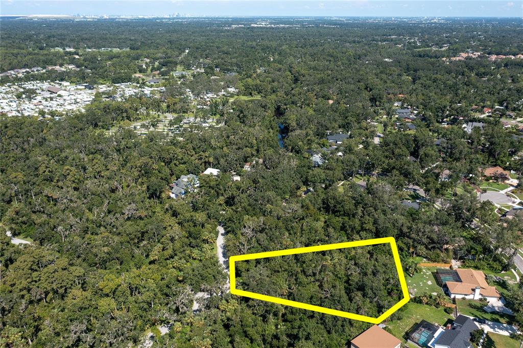 4710 Rambling River Road Brandon, FL 33511 - Photo 10 of 15 a view of a two tub next to a yard