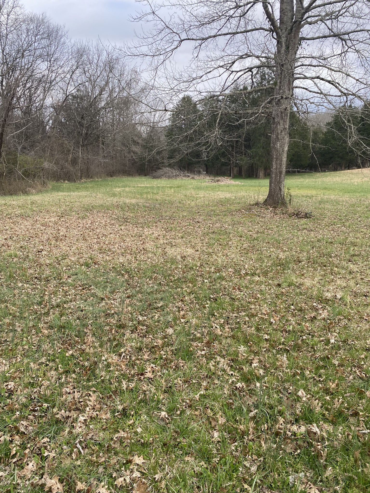 5642 Creek View Road Columbia, TN 38401 - Photo 6 of 29 Gallery Image 6