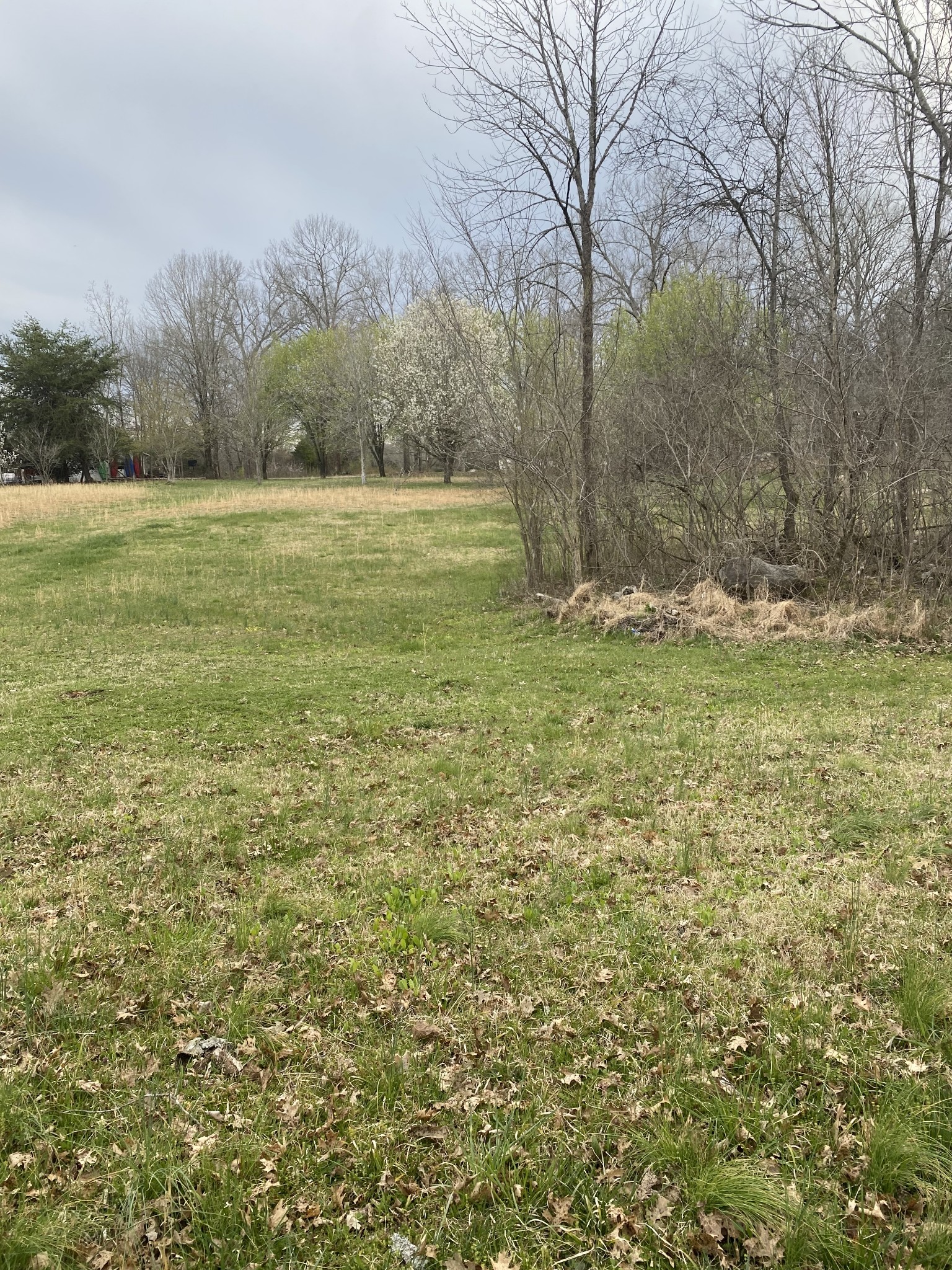 5642 Creek View Road Columbia, TN 38401 - Photo 7 of 29 Gallery Image 7