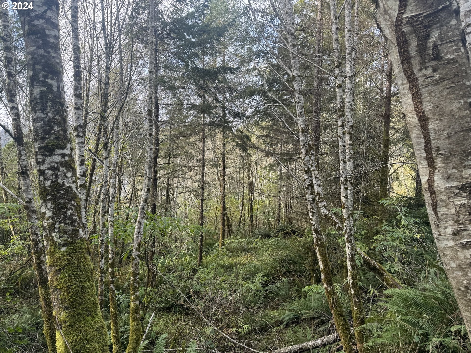 0 Potato Bottom Road, Unit 603 Lakeside, OR 97449 - Photo 21 of 27