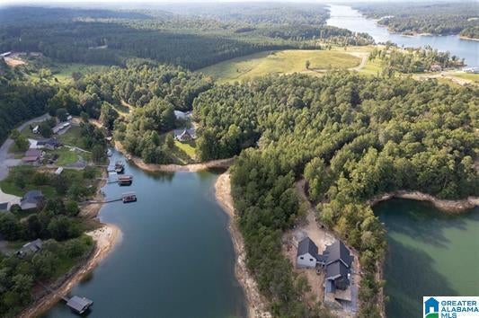 Lot A Camp Jimmy Goodwin Road Jasper, AL 35503 - Photo 8 of 13 Gallery Image 8