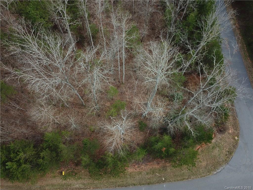 0 Brians Way Rutherfordton, NC 28139 - Photo 3 of 4 a view of a yard