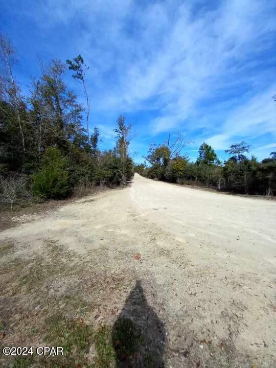 0 Tommy Tucker Road, Unit LOT 5 Altha, FL 32421 - Photo 11 of 12