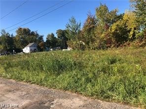 V/l North Ridge Road East Lorain, OH 44055 - Photo 3 of 16