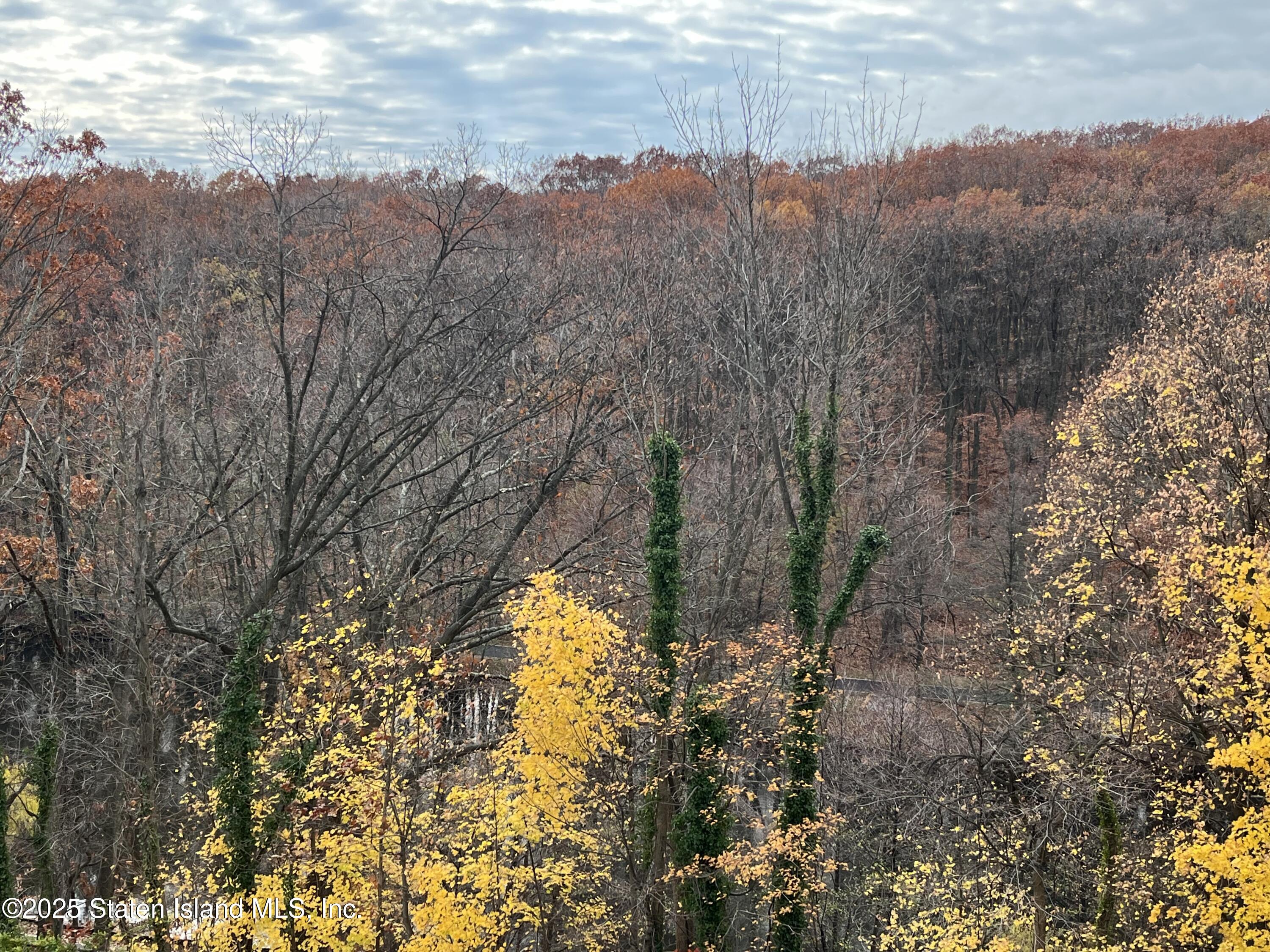 1000 Clove Road, Unit 4P Staten Island, NY 10301 - Photo 9 of 25 a view of a yard
