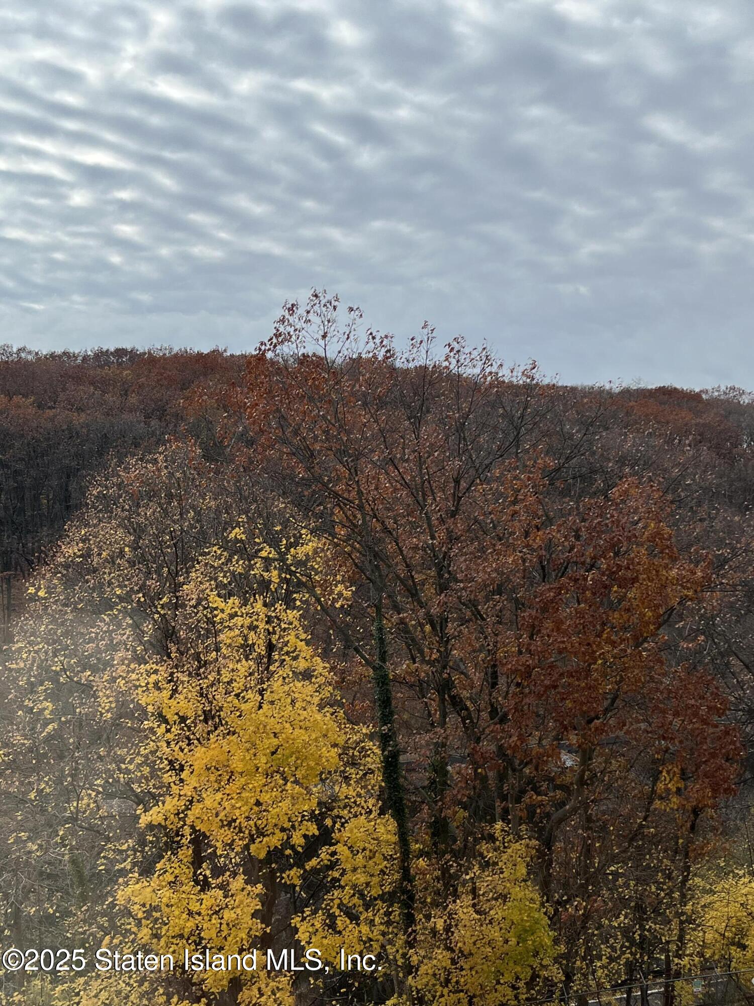 1000 Clove Road, Unit 4P Staten Island, NY 10301 - Photo 10 of 25