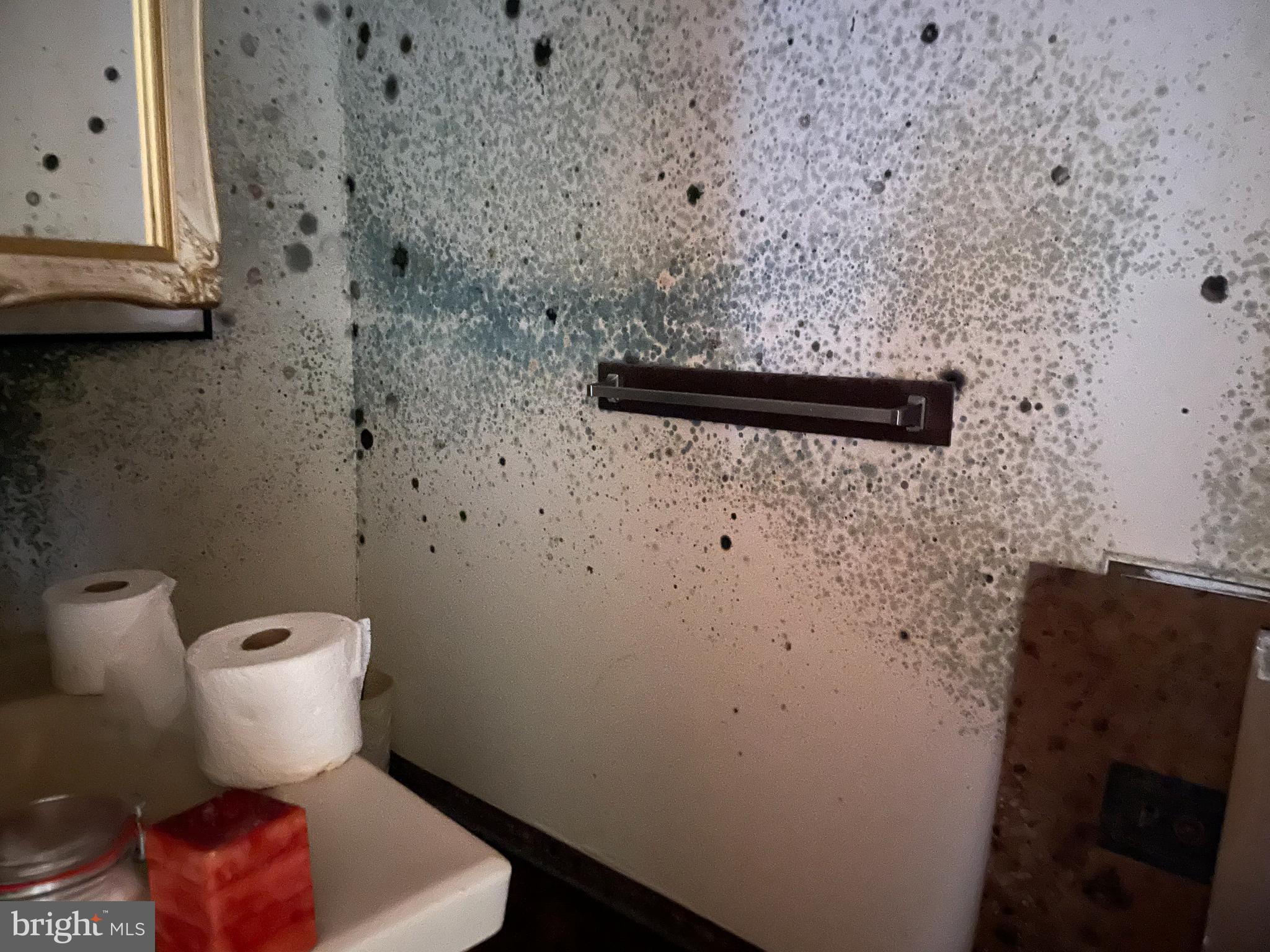 5576 Snow Mountain Road Broad Run, VA 20137 - Photo 9 of 20 Basement 1/2 Bath